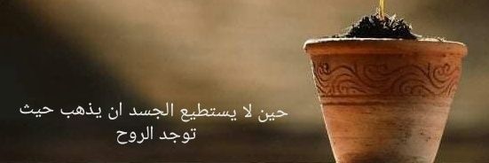 mo_shagh's profile banner image