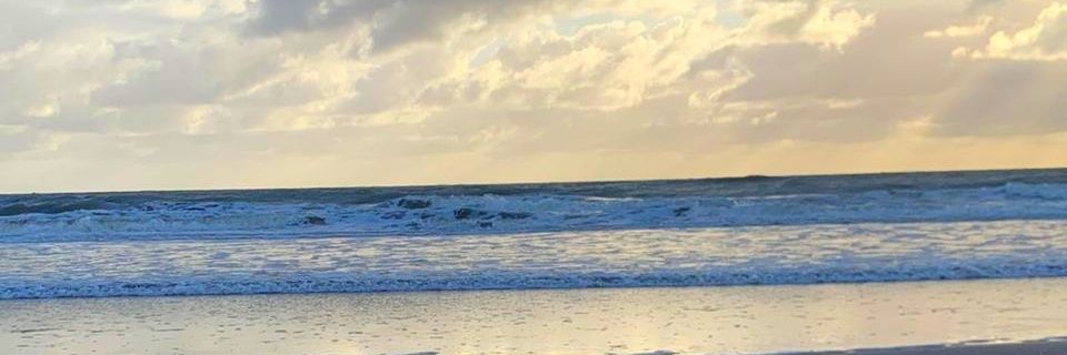 Rooci_11's profile banner image