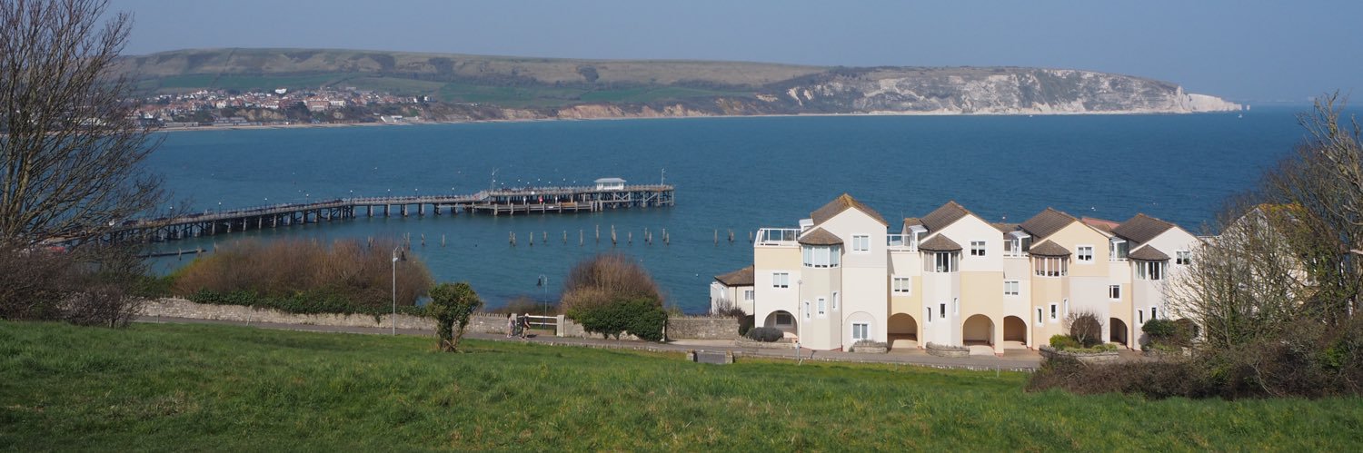 Delya Oktovie Apsari banner