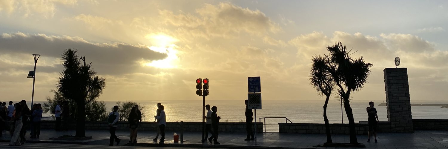 ornevivaldi_'s profile banner image