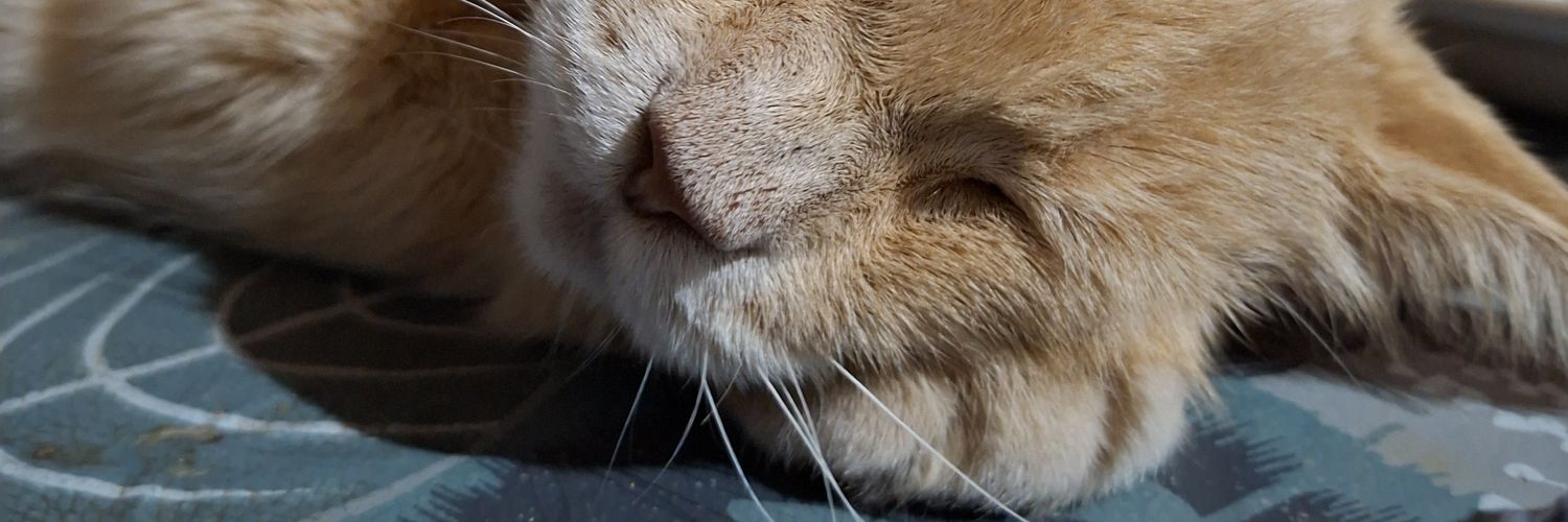 Pamee00's profile banner image