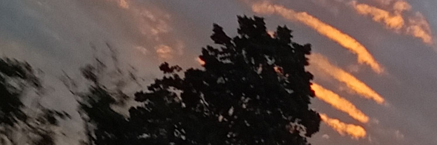 solweed2's profile banner image