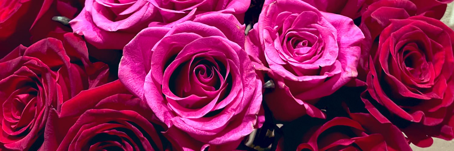 simply_stina's profile banner image