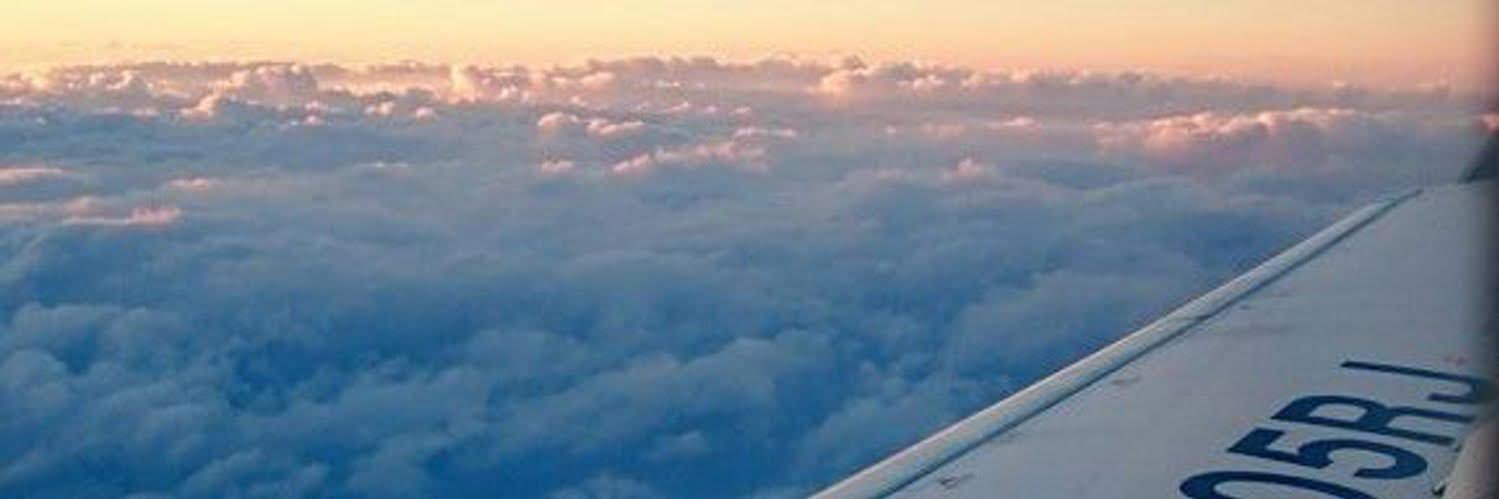 ☆necoにゃん☆と banner