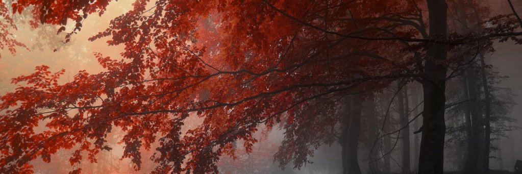 VersoCortos's profile banner image