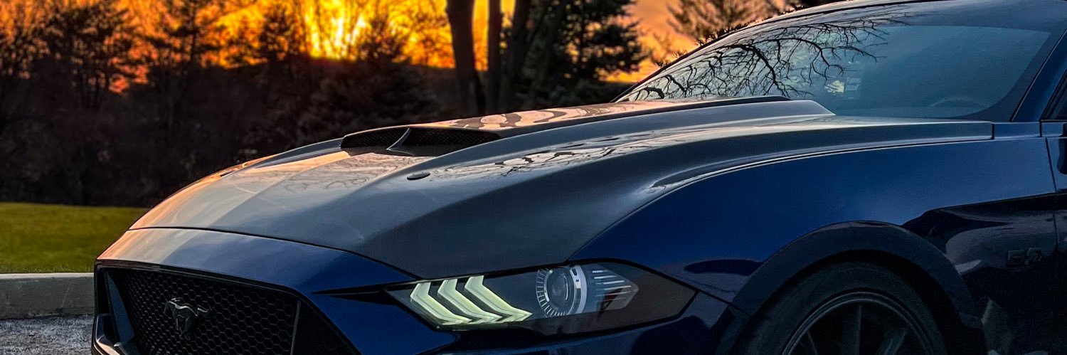 Nate ♛ banner