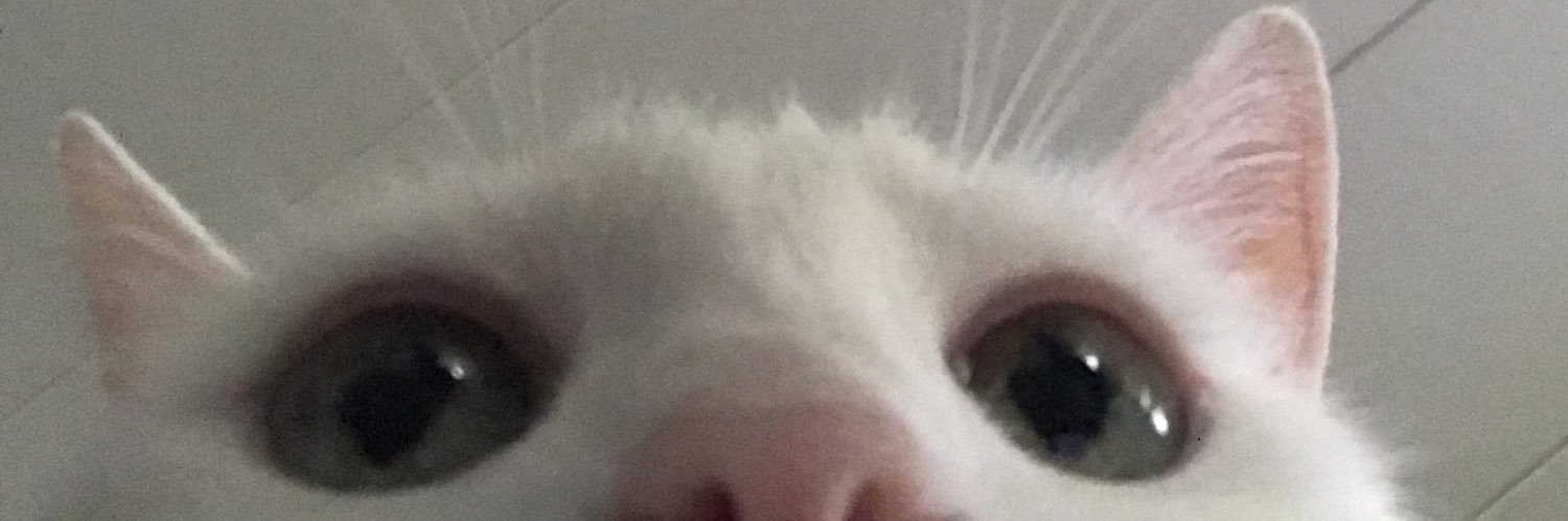 nerdiousdomina's profile banner image