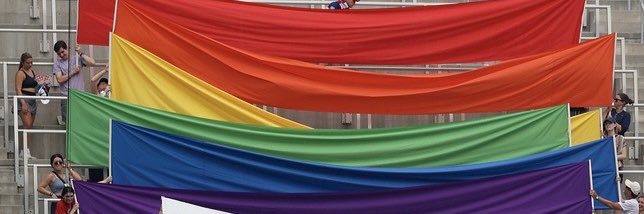 Spirit Squadron banner