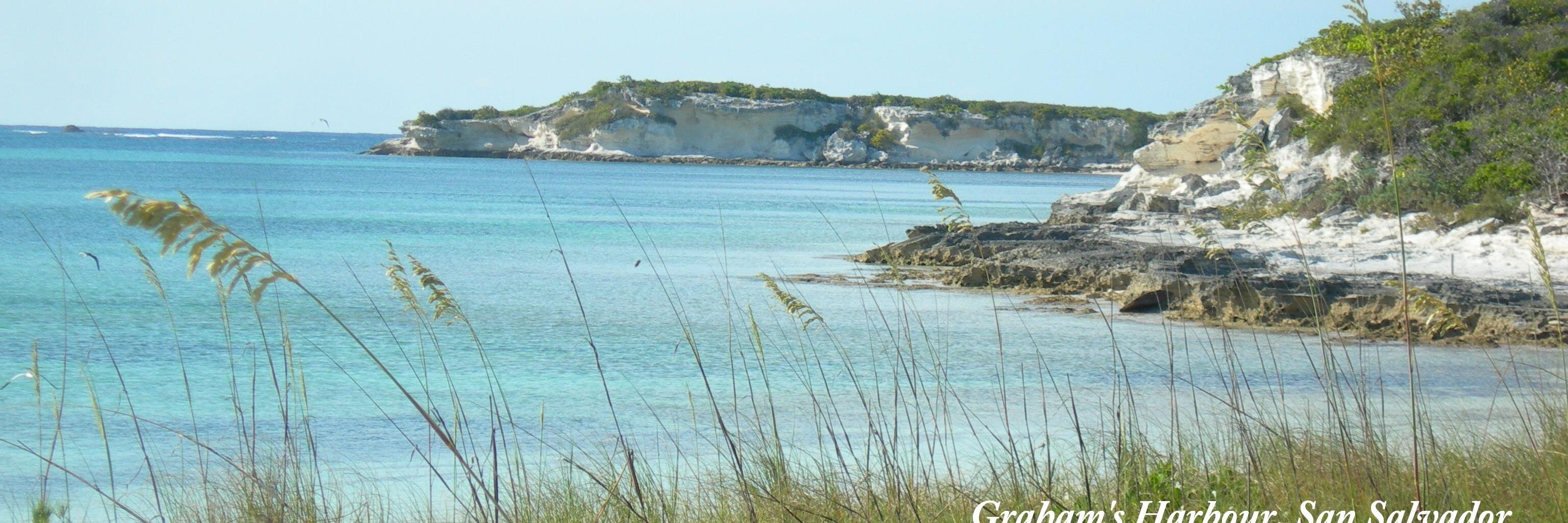 Click242Nature's profile banner image