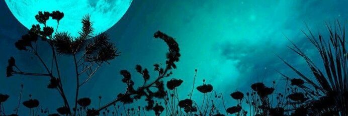 StellA_WU's profile banner image