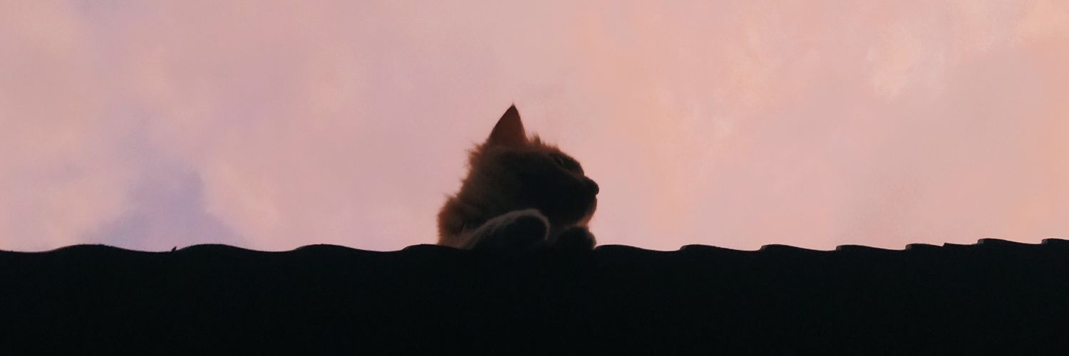 mfdmrtl's profile banner image