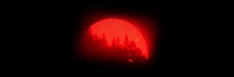 deadendsellout's profile banner image