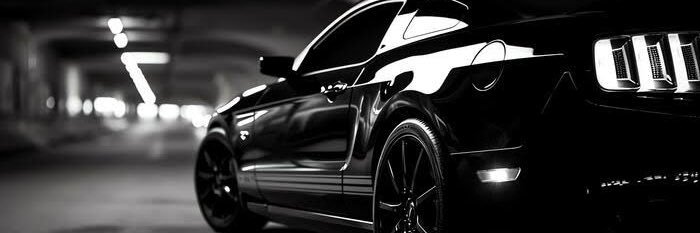 gilrocha_'s profile banner image