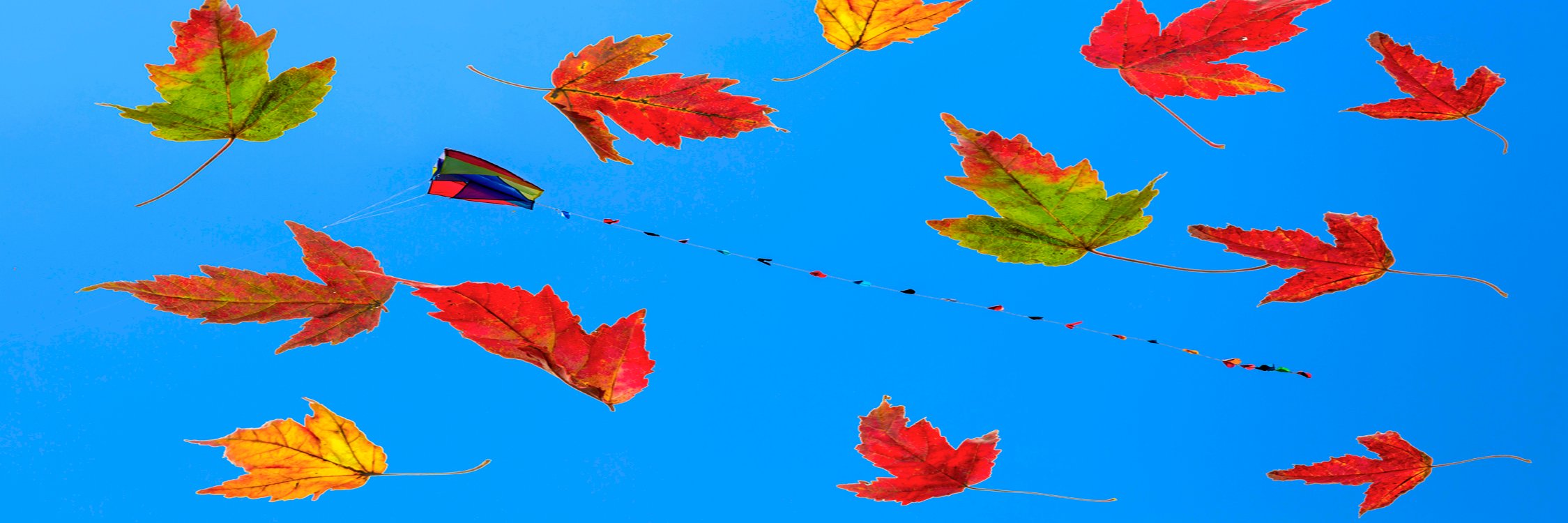 nignet57's profile banner image