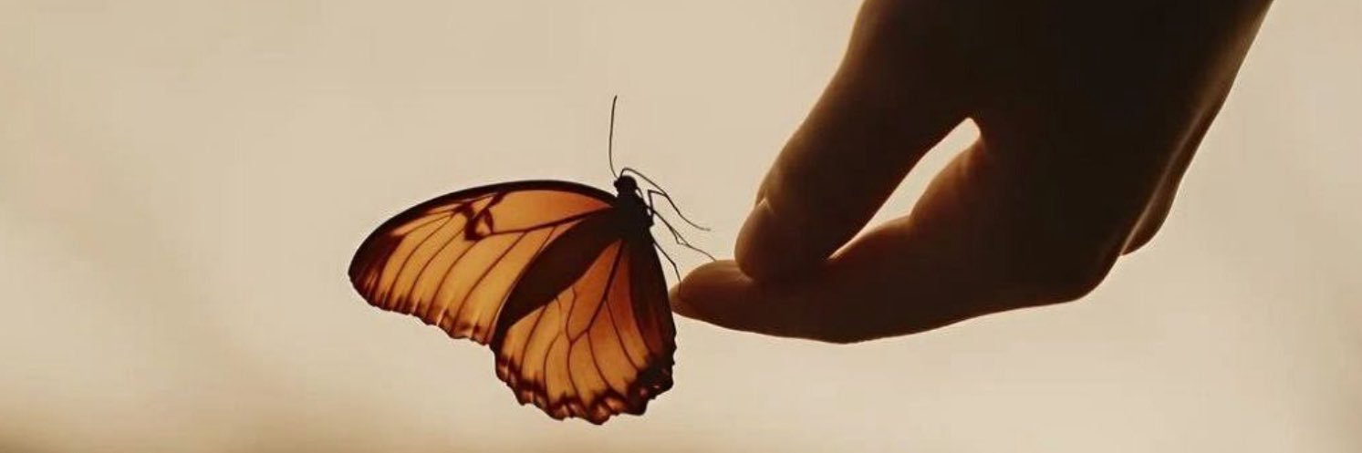 ‛ 𝑬𝒗𝒂𝒏𝒔 .ᐟ banner