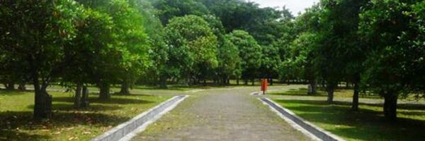 ranabaja Profile Banner