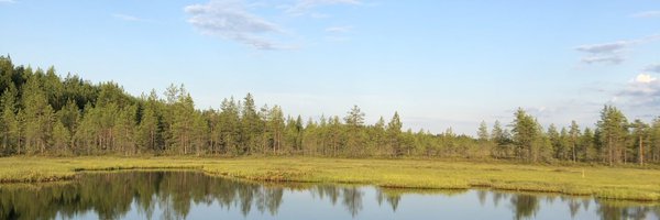 Nuutti Ruotsalainen Profile Banner