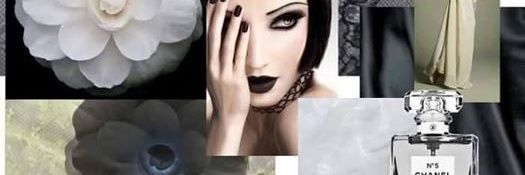 purviroy's profile banner image