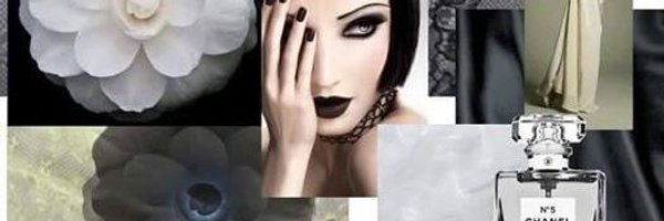 purviroy Profile Banner