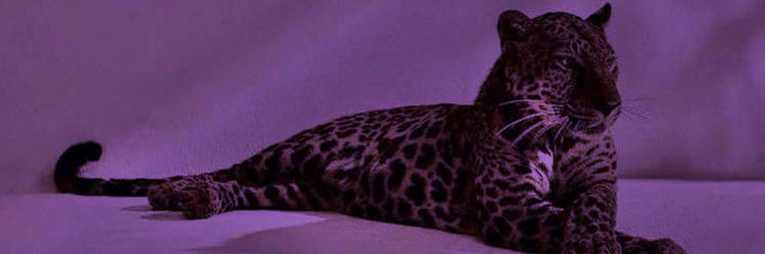 بـاء العنزي banner