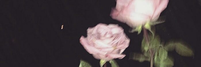 RoCippitelli's profile banner image