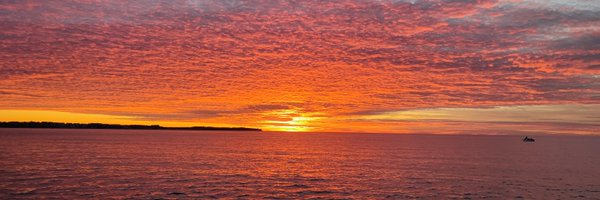 pix113113 Profile Banner