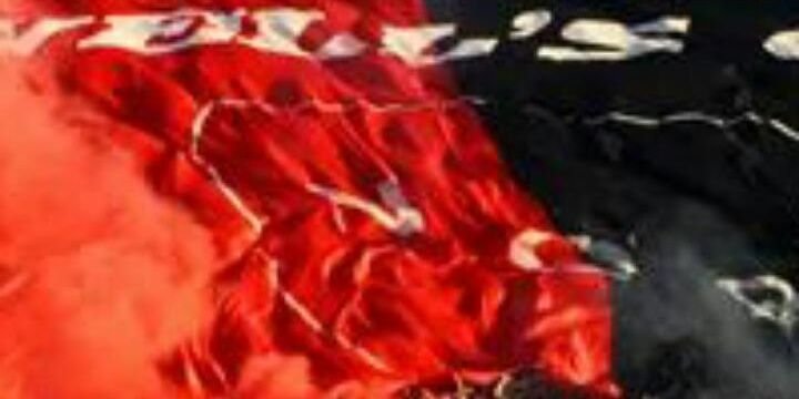 TaaliNOB's profile banner image