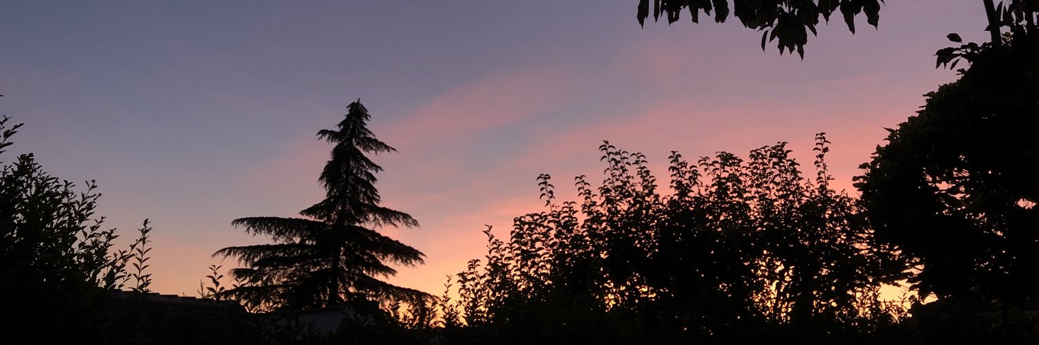 Лидия Ламанчская banner