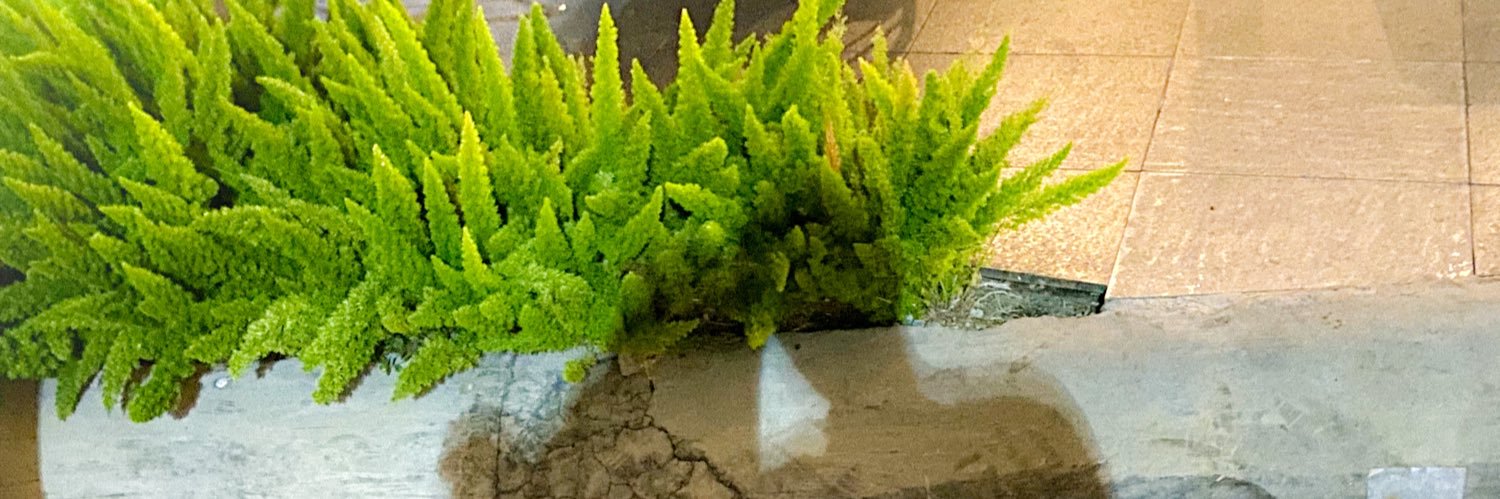 weirdgurlash's profile banner image