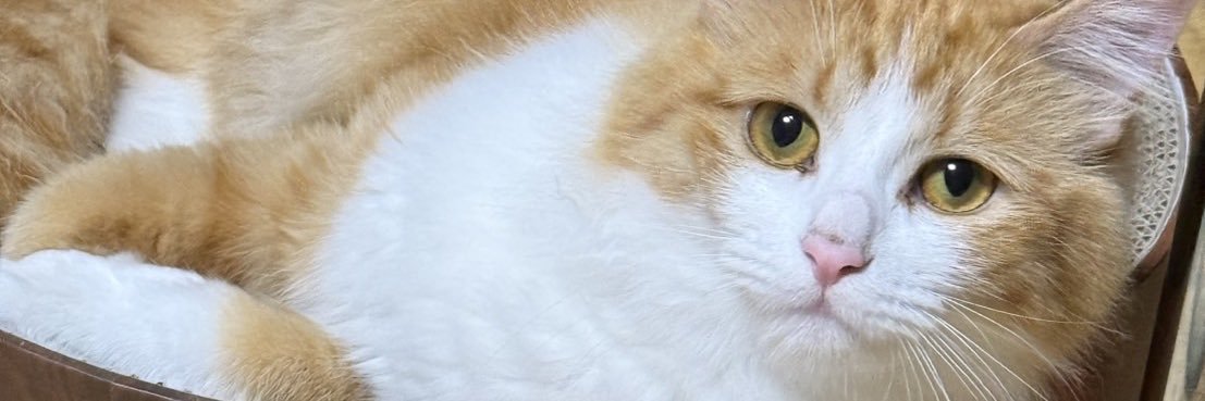 Sh4dE_GEX's profile banner image