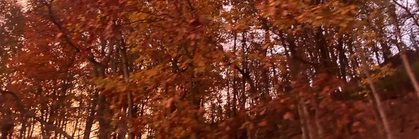 moshie Profile Banner