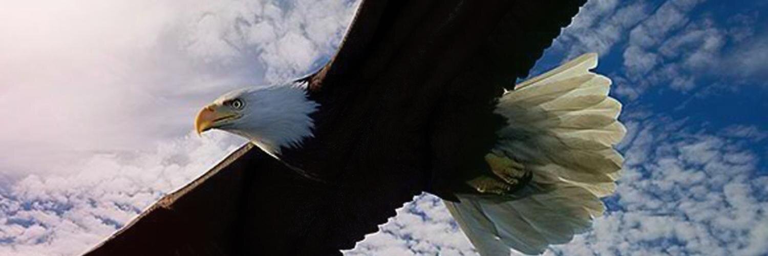 roselicomnet's profile banner image
