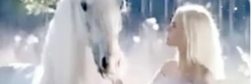 AnimalMary's profile banner image