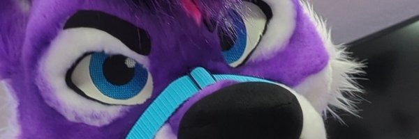 SynthwaveWolfy Profile Banner