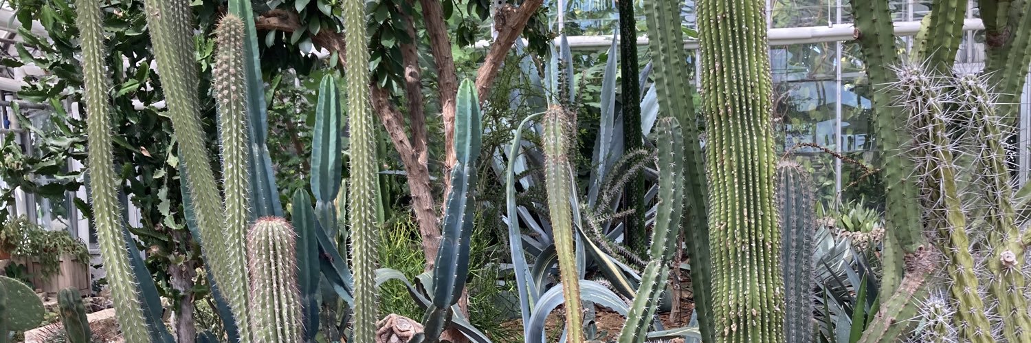 Maureen Bocka banner