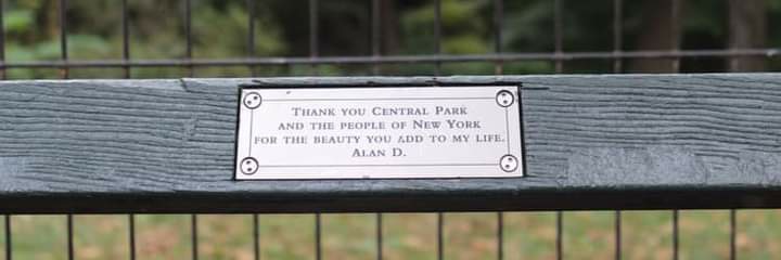 Lonestar 🏳️‍🌈🐢🐦 banner