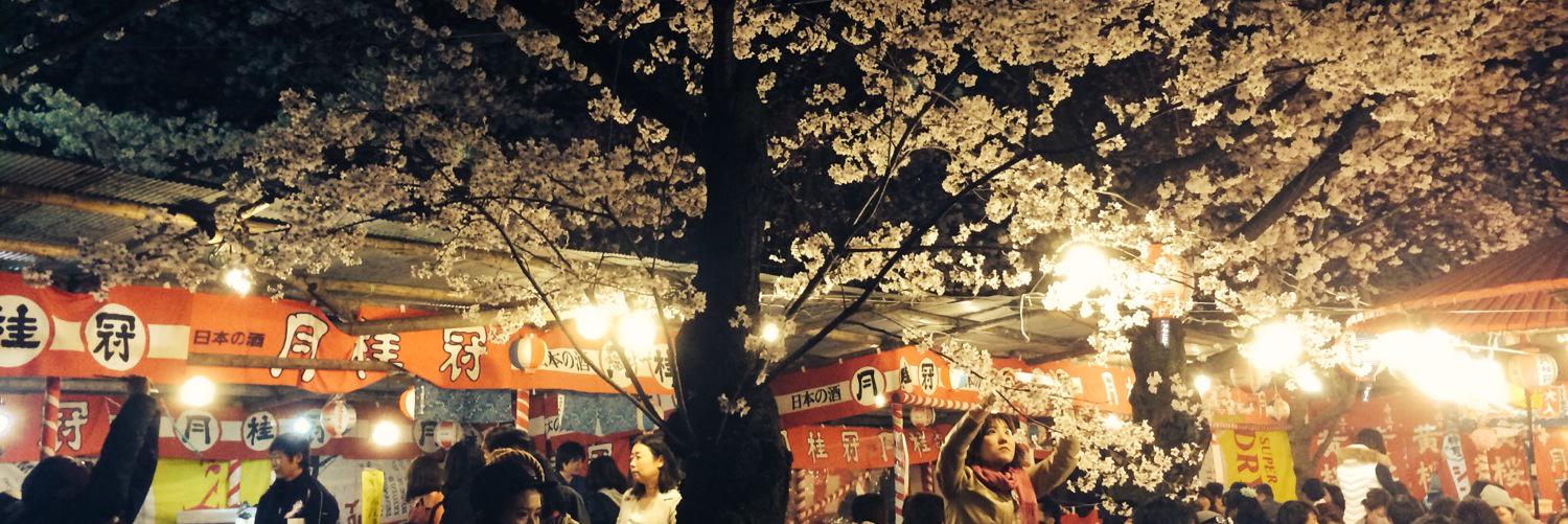 amakchi's profile banner image