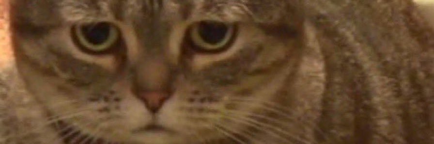 kei ⁷ is seeing bts!! banner