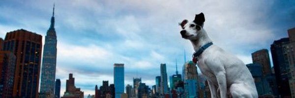 daniel_egan Profile Banner