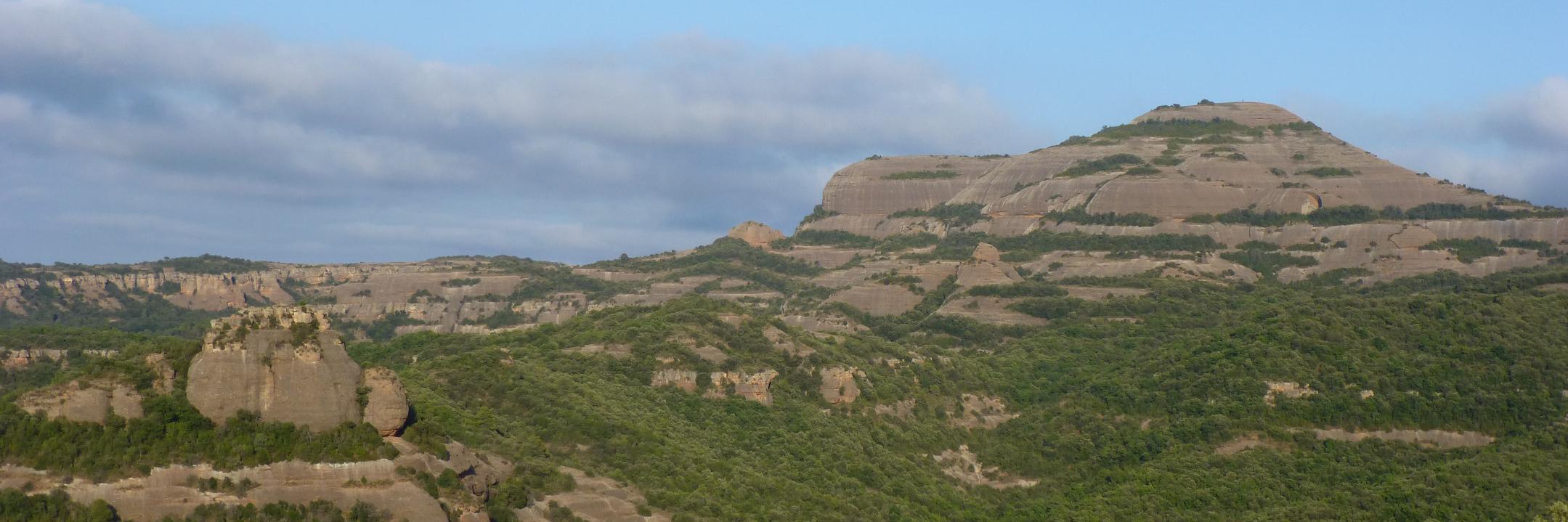 Màrius Boada Pla banner