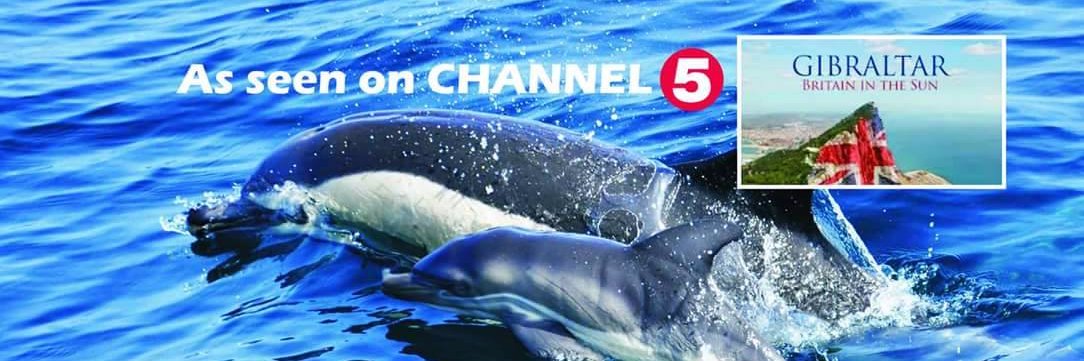 Dolphins_Gib's profile banner image