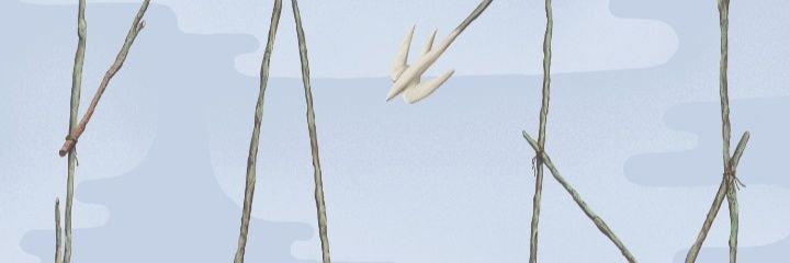 ana_coffee&wine banner