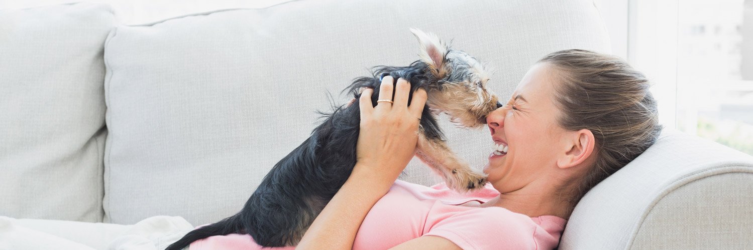 Affinity Petcare banner