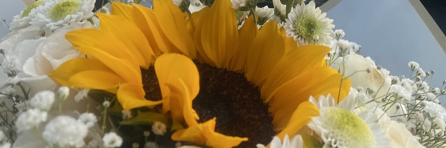 Berna_Fly's profile banner image