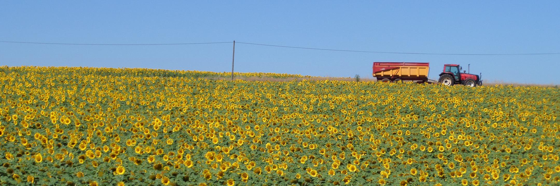 RMasding's profile banner image