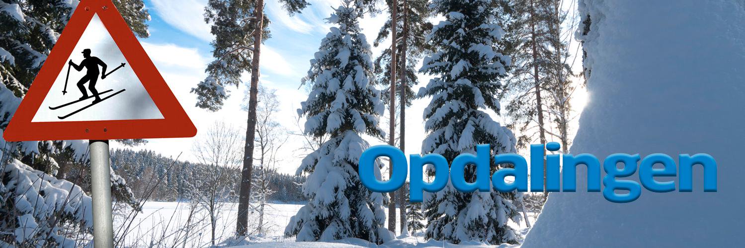 Opdalingen's profile banner image