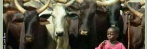 antonywaiga's profile banner image