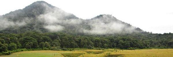 ligarhac's profile banner image
