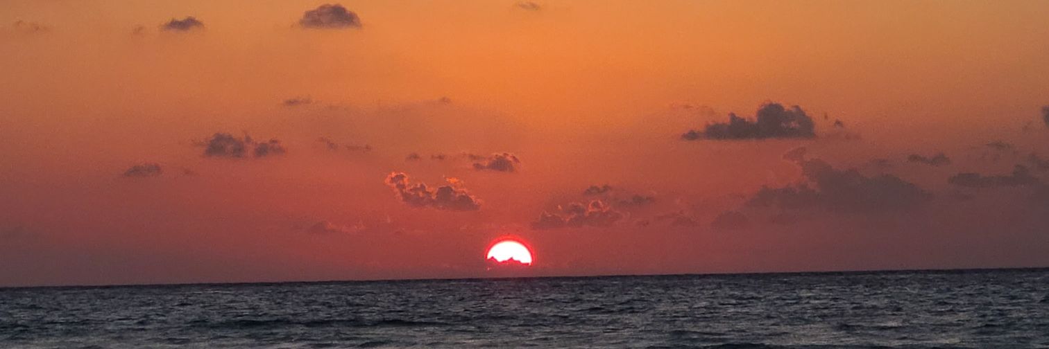 MackenzieHeggs's profile banner image