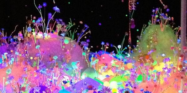 euk_h_fripon's profile banner image